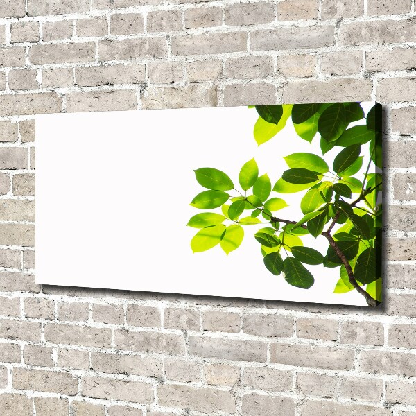 Canvas wall art Leaves