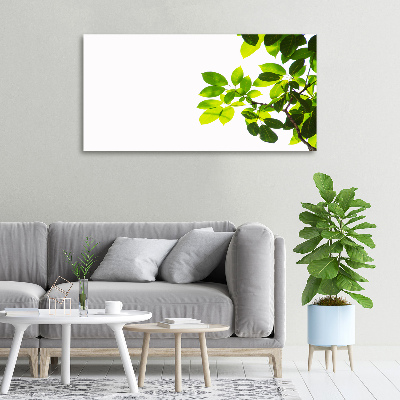 Canvas wall art Leaves