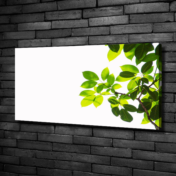 Canvas wall art Leaves