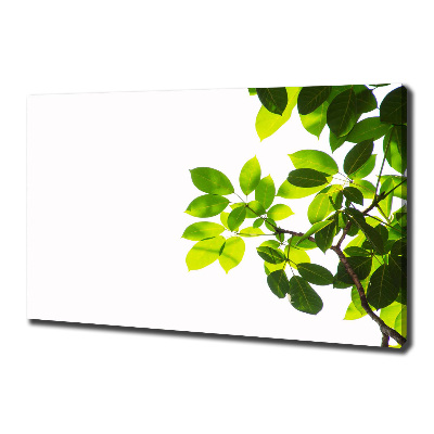 Canvas wall art Leaves