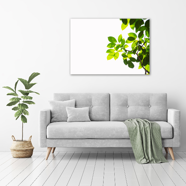 Canvas wall art Leaves