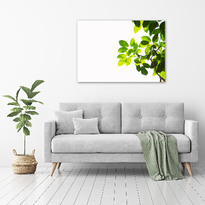 Canvas wall art Leaves