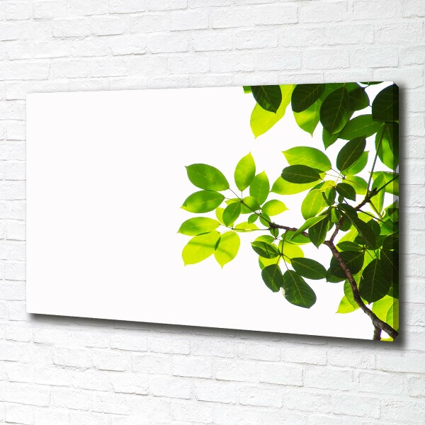 Canvas wall art Leaves