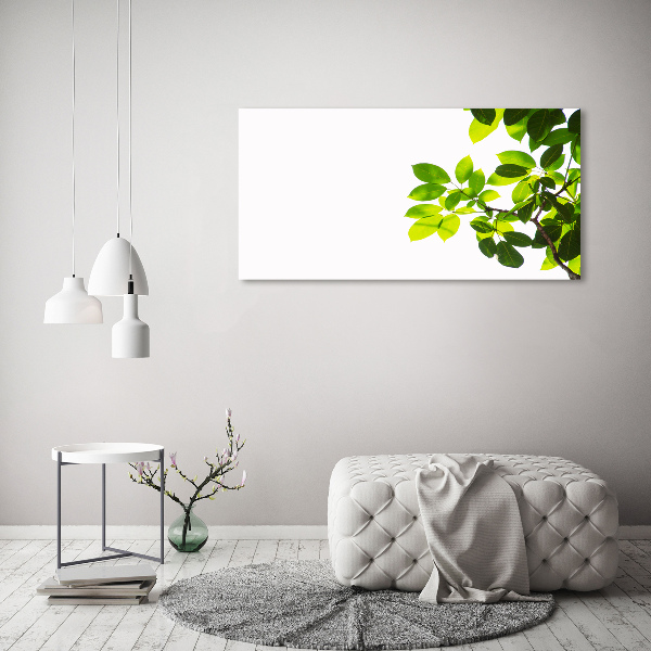 Canvas wall art Leaves