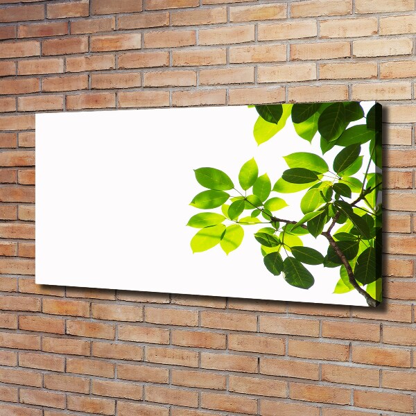 Canvas wall art Leaves