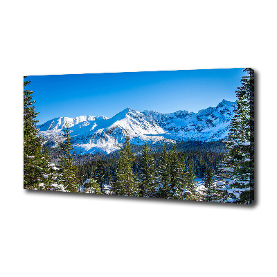 Canvas wall art Panorama of the Tatra Mountains