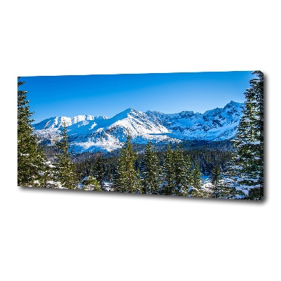 Canvas wall art Panorama of the Tatra Mountains