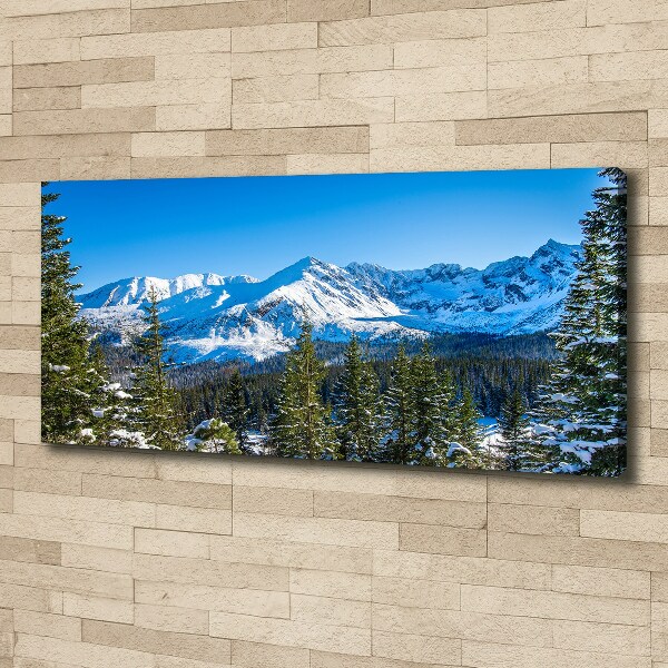 Canvas wall art Panorama of the Tatra Mountains