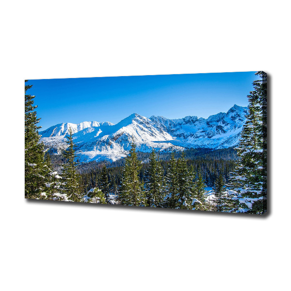 Canvas wall art Panorama of the Tatra Mountains