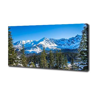 Canvas wall art Panorama of the Tatra Mountains