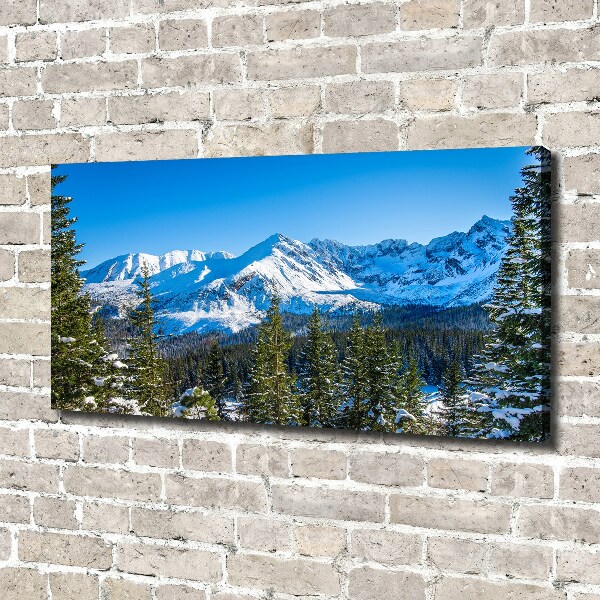 Canvas wall art Panorama of the Tatra Mountains