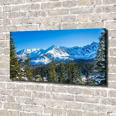 Canvas wall art Panorama of the Tatra Mountains