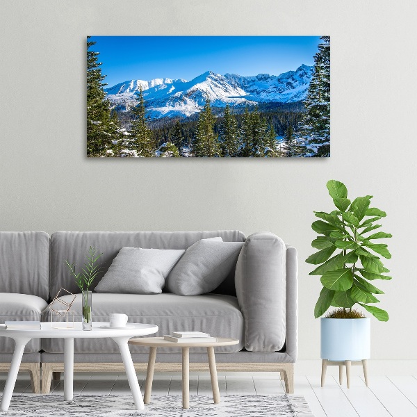 Canvas wall art Panorama of the Tatra Mountains