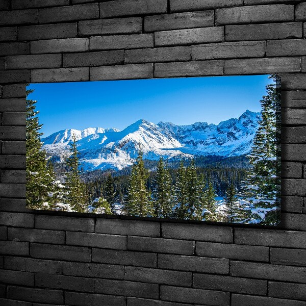 Canvas wall art Panorama of the Tatra Mountains