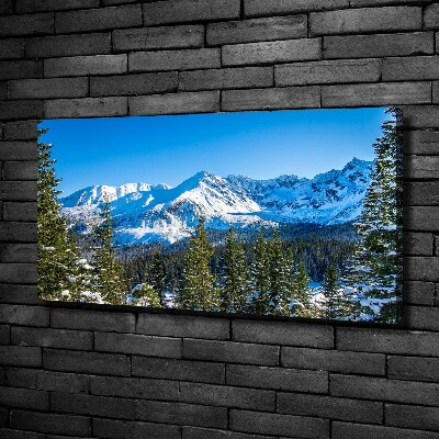 Canvas wall art Panorama of the Tatra Mountains