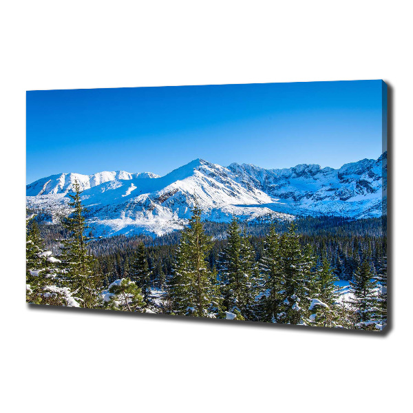 Canvas wall art Panorama of the Tatra Mountains