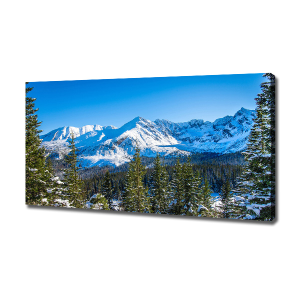 Canvas wall art Panorama of the Tatra Mountains