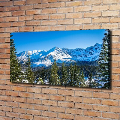 Canvas wall art Panorama of the Tatra Mountains