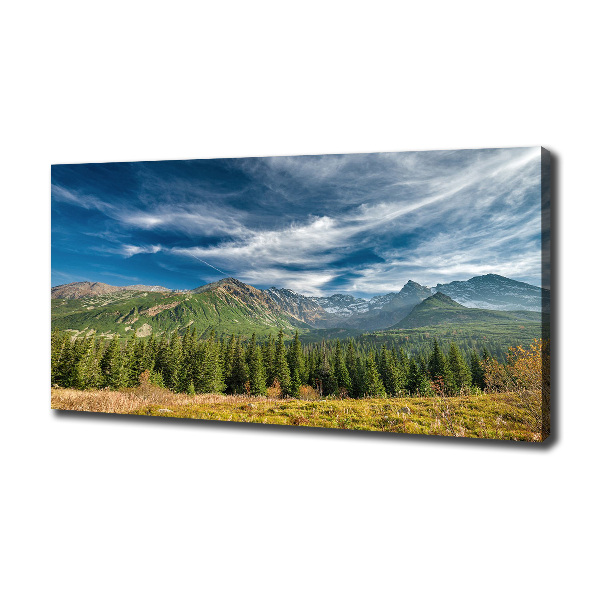 Canvas wall art Autumn in the Tatra Mountains