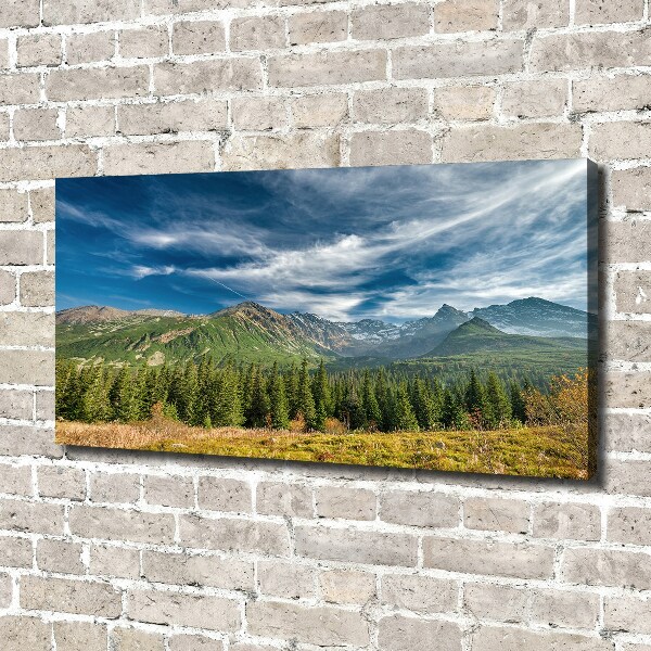 Canvas wall art Autumn in the Tatra Mountains