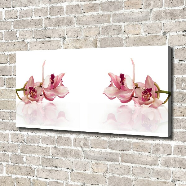 Canvas wall art Orchid