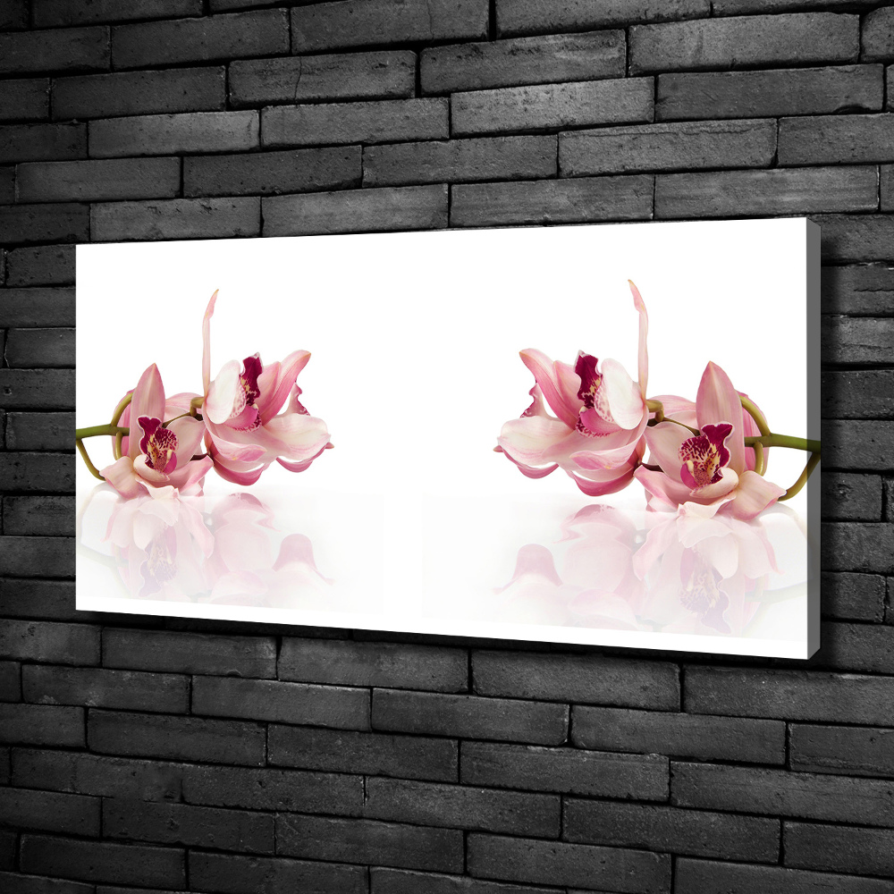 Canvas wall art Orchid