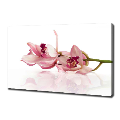 Canvas wall art Orchid