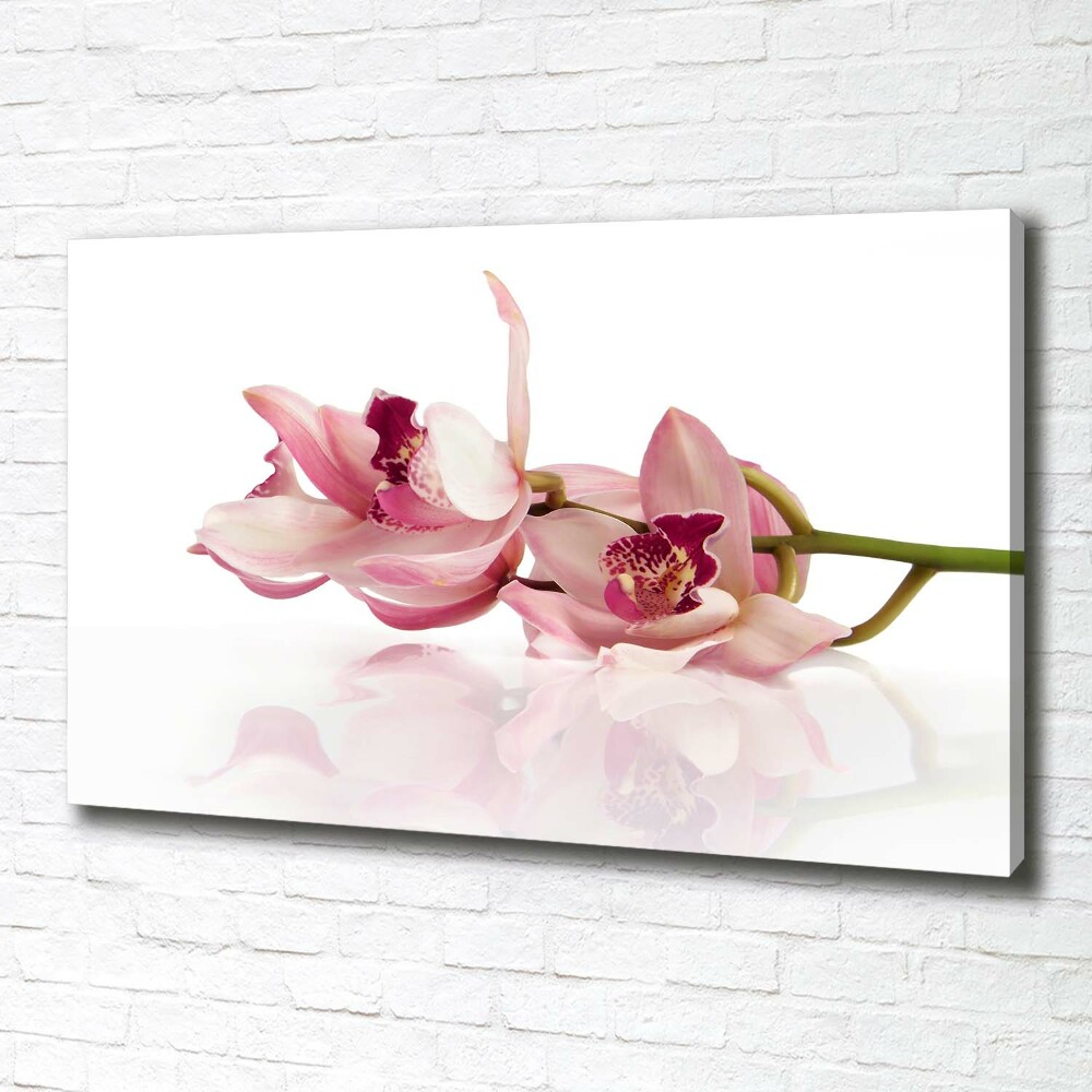 Canvas wall art Orchid