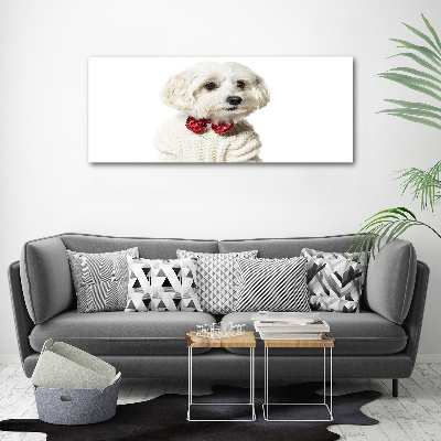 Wall art canvas large Maltese in a bow tie