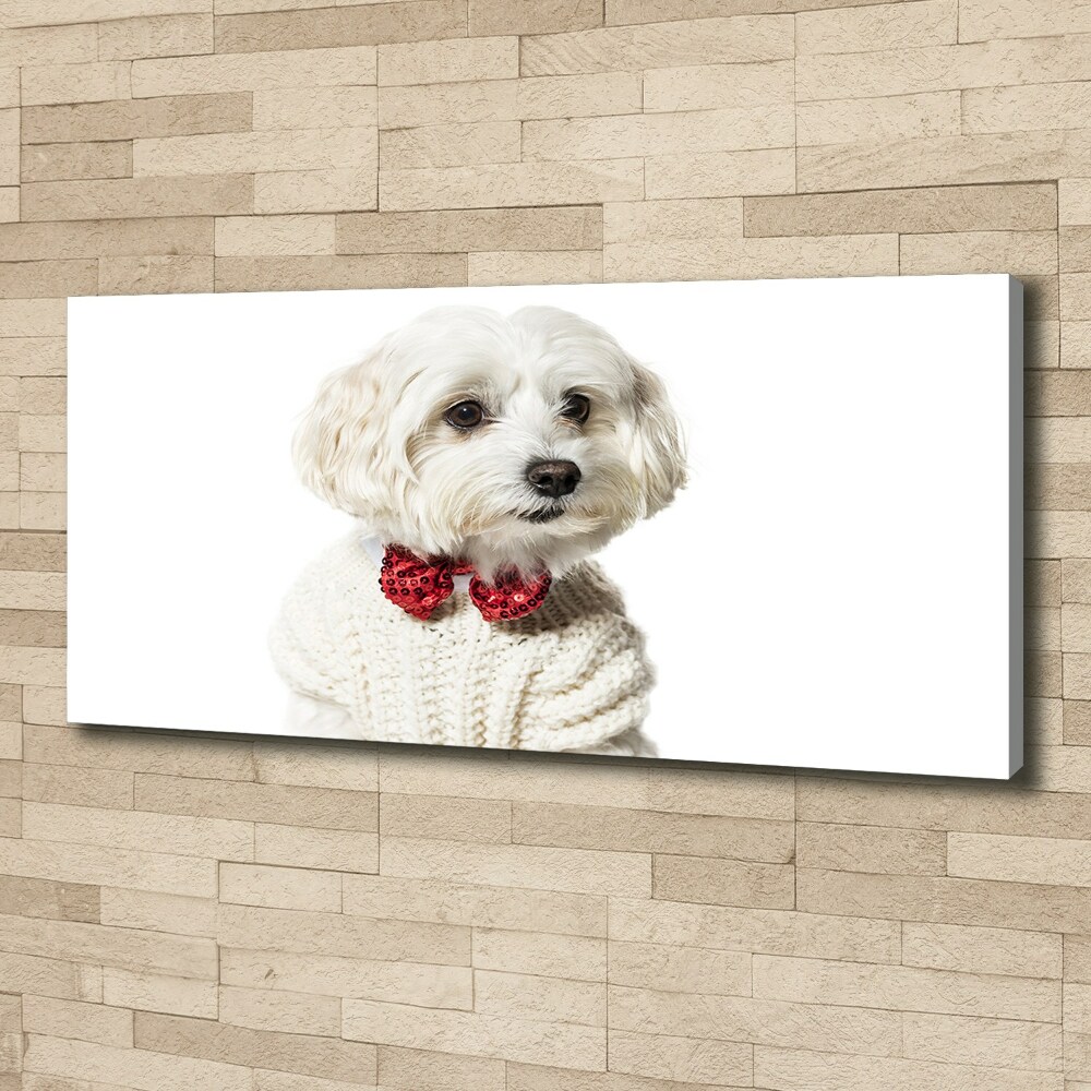 Wall art canvas large Maltese in a bow tie