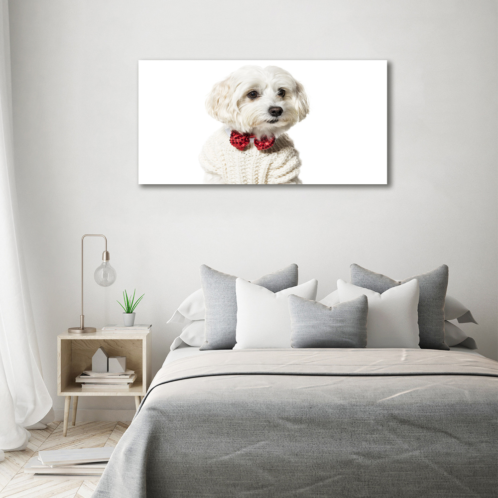 Wall art canvas large Maltese in a bow tie