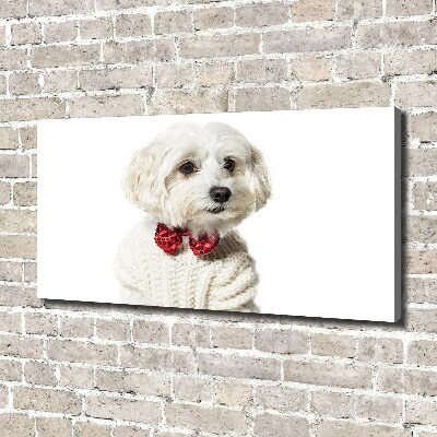 Wall art canvas large Maltese in a bow tie