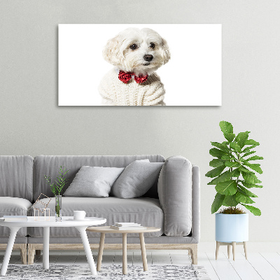 Wall art canvas large Maltese in a bow tie