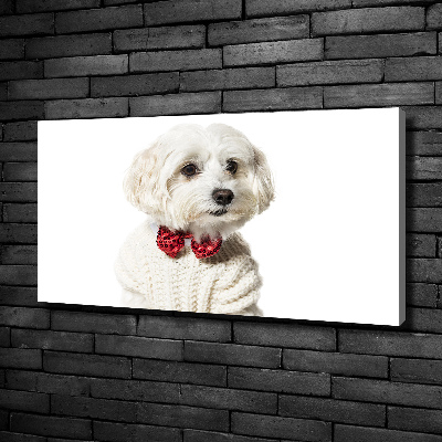 Wall art canvas large Maltese in a bow tie