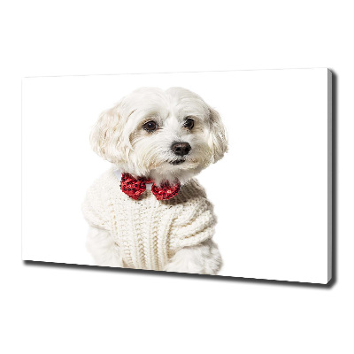 Wall art canvas large Maltese in a bow tie