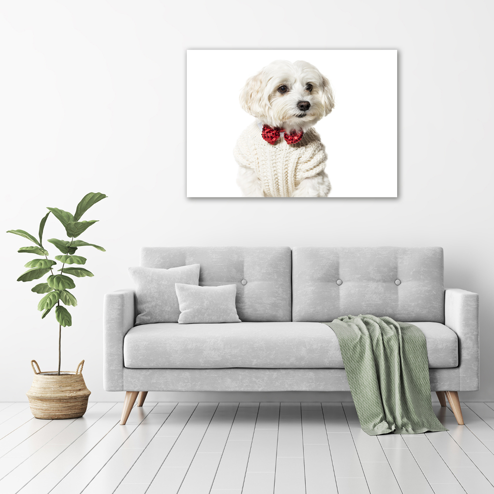 Wall art canvas large Maltese in a bow tie