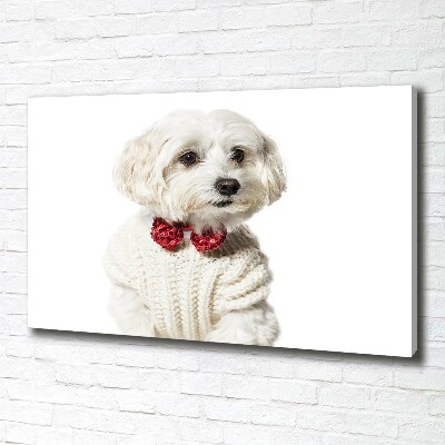 Wall art canvas large Maltese in a bow tie