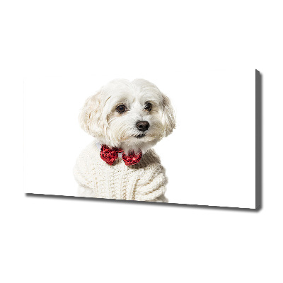 Wall art canvas large Maltese in a bow tie