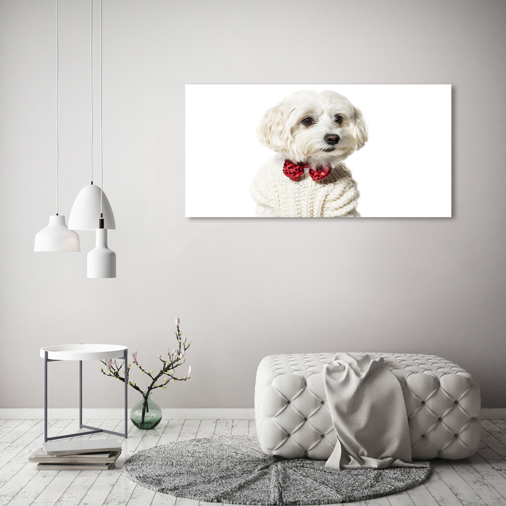 Wall art canvas large Maltese in a bow tie