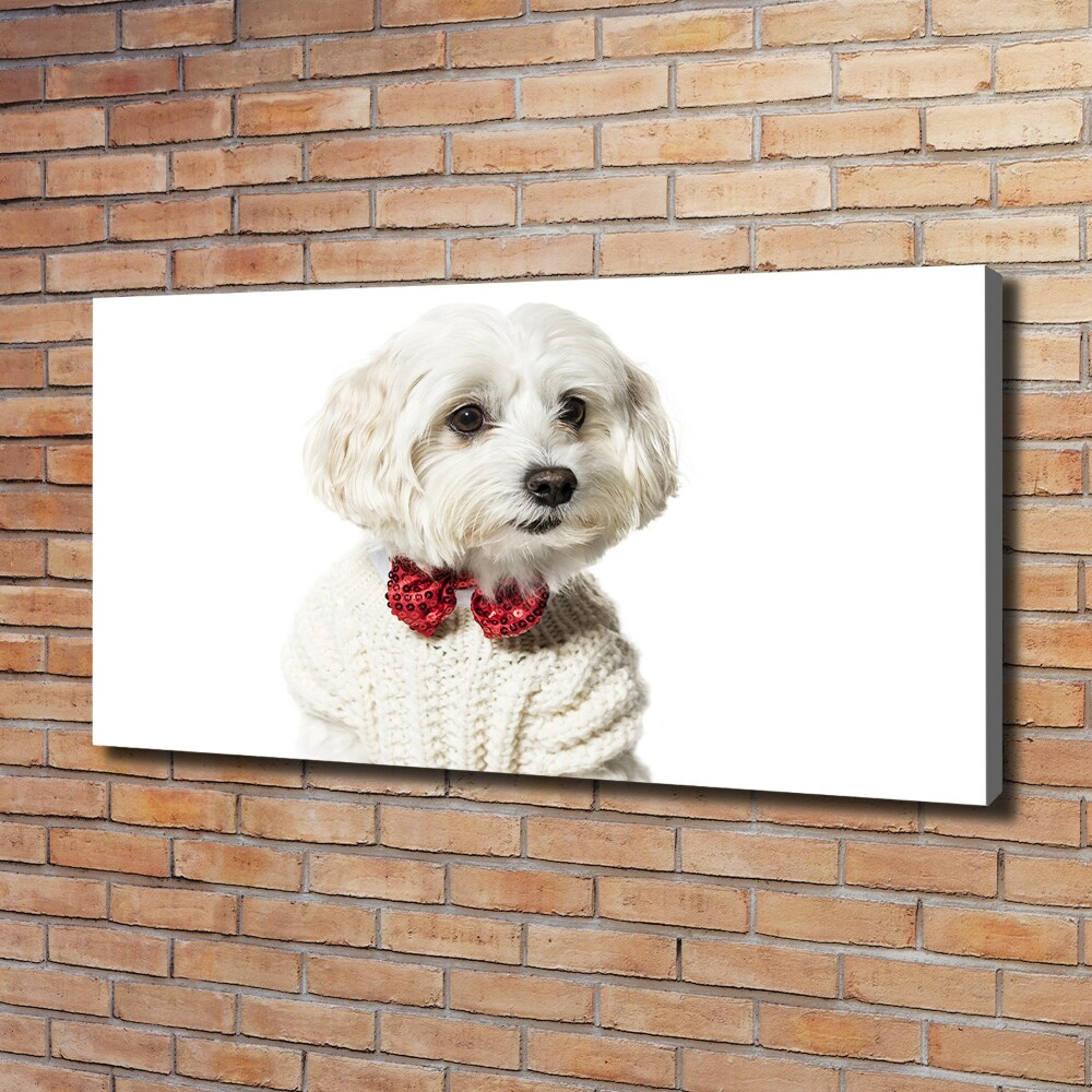 Wall art canvas large Maltese in a bow tie