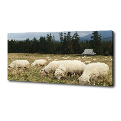 Large canvas wall art Grazing sheep