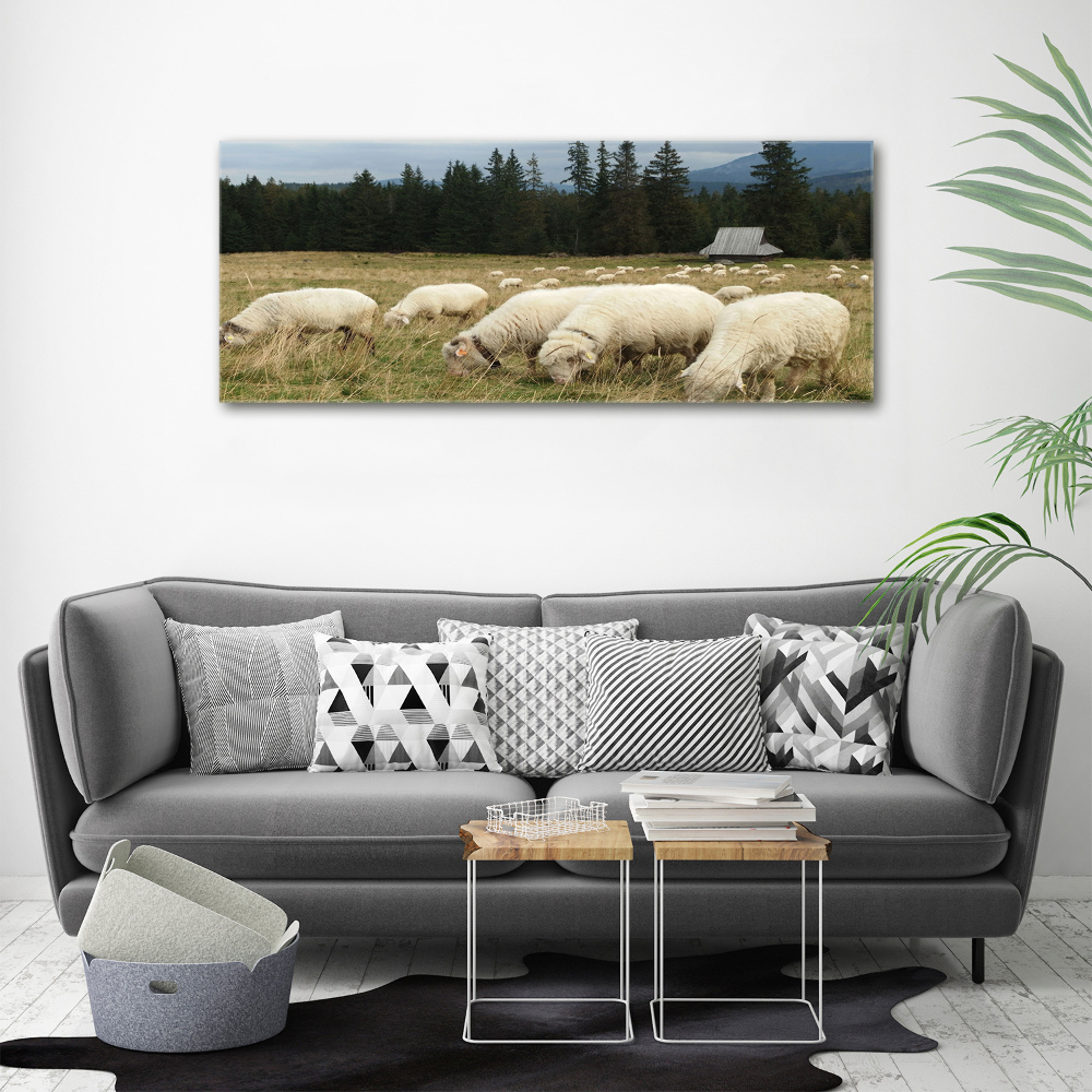 Large canvas wall art Grazing sheep