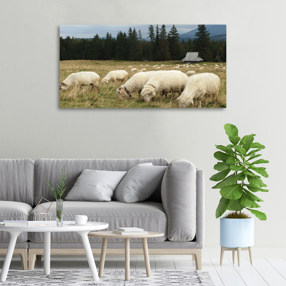 Large canvas wall art Grazing sheep