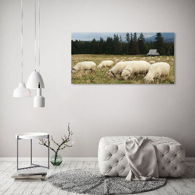 Large canvas wall art Grazing sheep