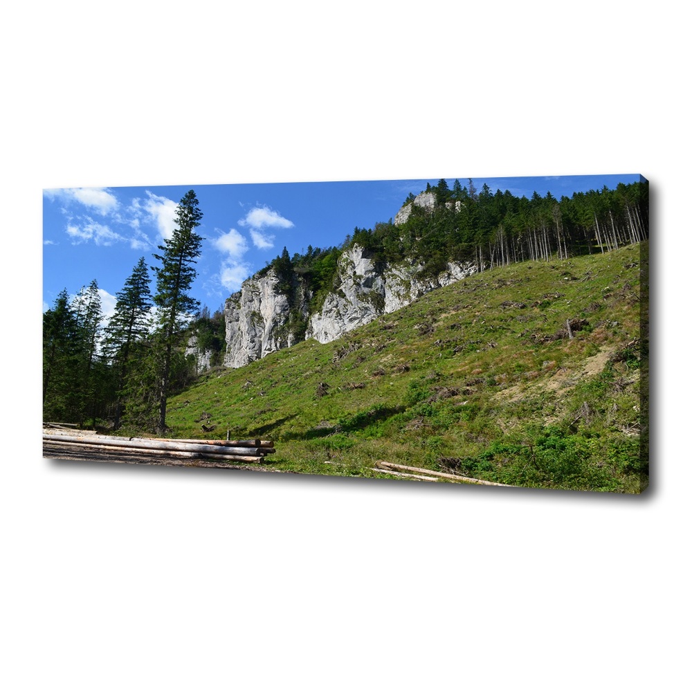 Canvas wall art Rocky peaks