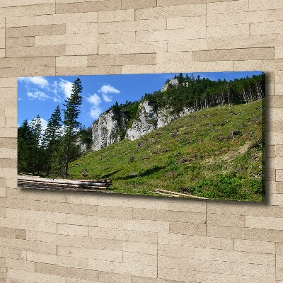 Canvas wall art Rocky peaks