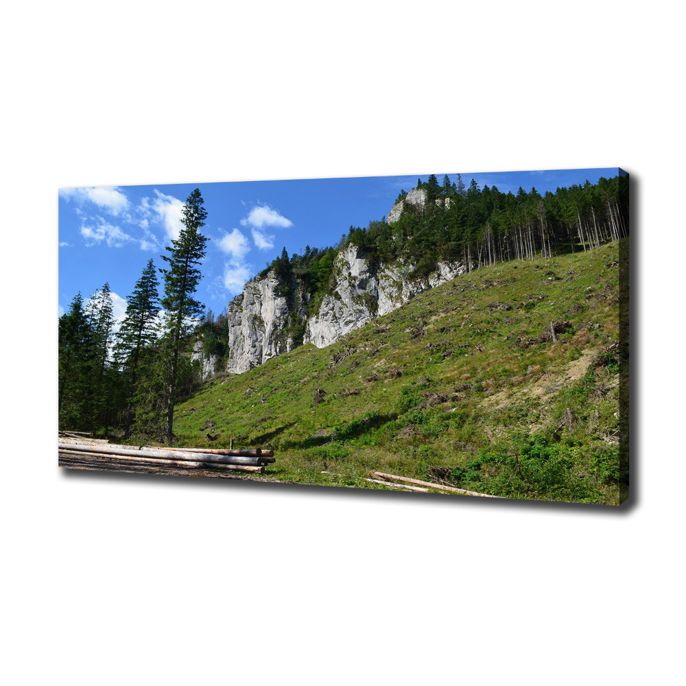 Canvas wall art Rocky peaks