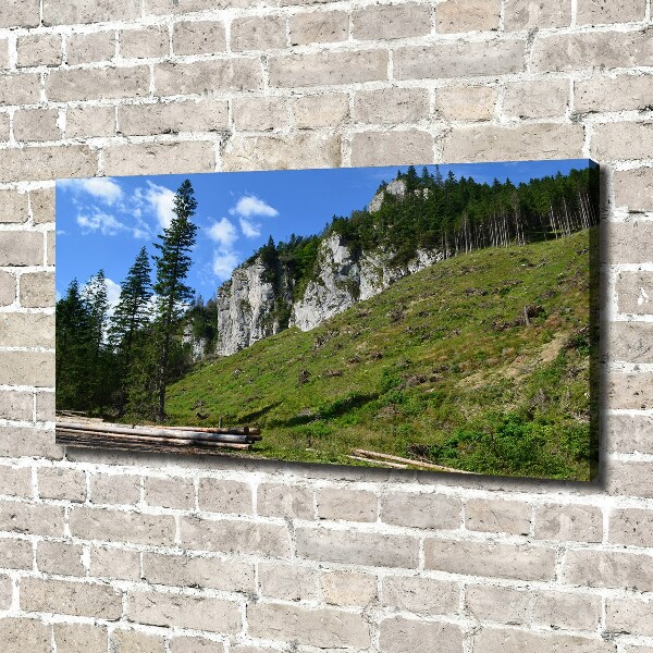 Canvas wall art Rocky peaks