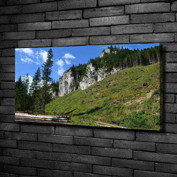 Canvas wall art Rocky peaks