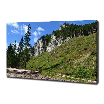 Canvas wall art Rocky peaks